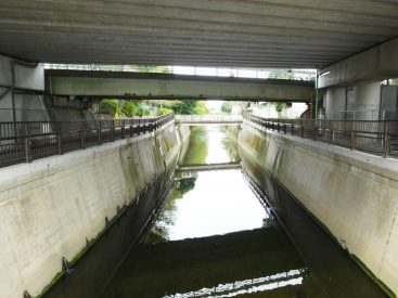 小田急線の下を流れる仙川が近くに