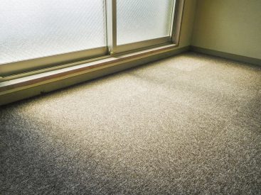 暖かみのあるカーペット床(内装)