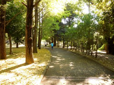 秋が始まった今の季節は紅葉もきれいです