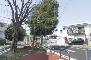 建物の前には緑道があり、お部屋から緑が見えます。