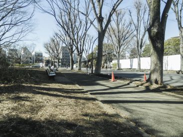 駒沢公園は広くて気持ちがいい場所。(周辺)