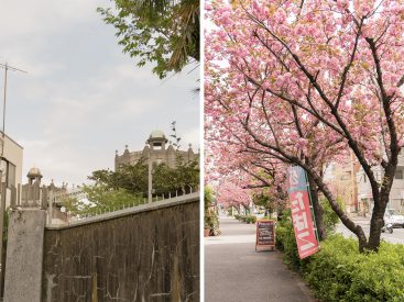 物件周辺のおすすめスポット「双子の給水塔」。駅前の通りは八重桜並木！