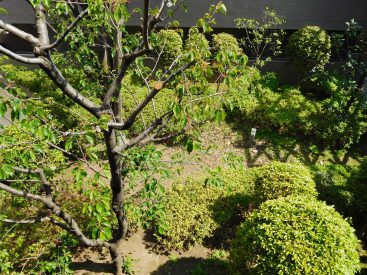 バルコニーからは、緑豊かな庭が見下ろせます。