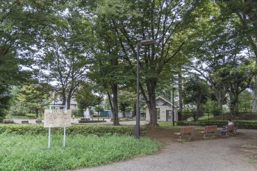 隣には緑豊かな「駒沢緑泉公園」が。
