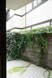 植物がいいかんじです