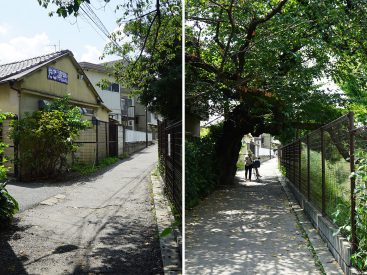 駅からの平和な道