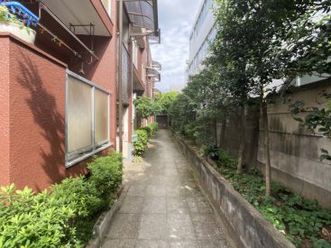 建物のアプローチ。緑豊かです。