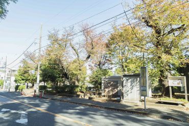 緑豊かな街並み。駅はすこし歩くけど、バス停が近くて便利。