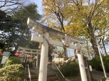 目の前には趣ある神社。お祭りが執り行われます。