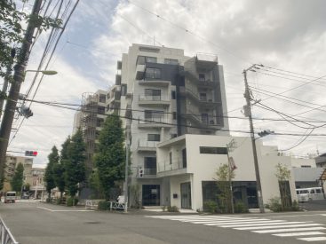 駒沢公園通り沿いの新築マンション。