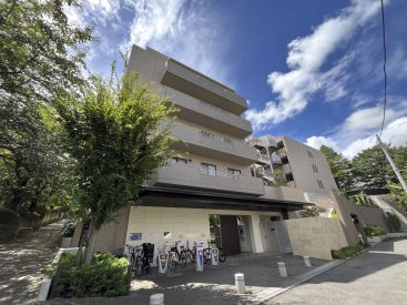 若林公園横の大きなマンションです。