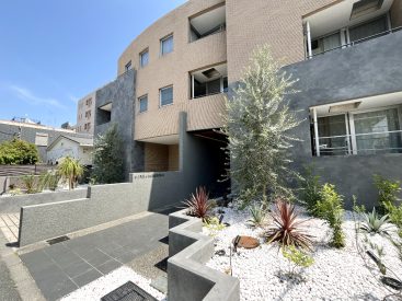 植物が出迎える、高級感あふれるマンション。