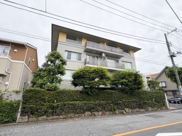 少し個性的な外観。