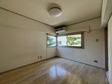 窓からは気持ちいい緑が。
