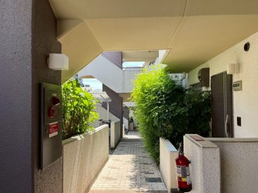 共用部には緑が多め。