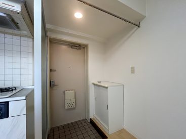 玄関。小さめのシューズボックスがひとつ。