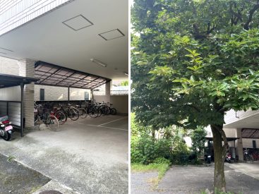 駐輪場は屋根付き。シンボルツリーの柿の木が生き生きと。