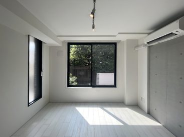 1階ですがこの日当たり。パキッとした暖かい日差しが入ります。