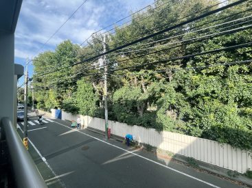 学校の植物が目の前に広がります。