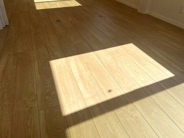 フローリングに日差しがあたって温か。