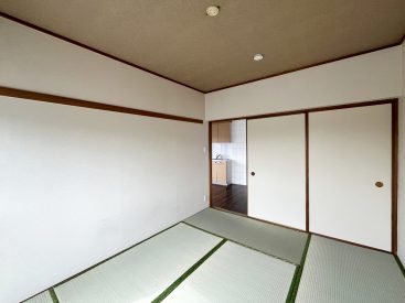 みどりの畳が落ち着きます。扉横には押し入れも。
