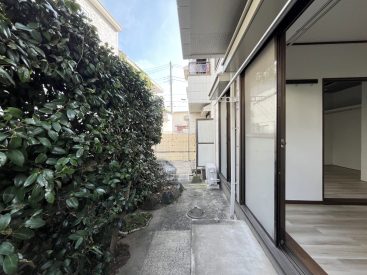 サザンカと日差し、風の通る庭。