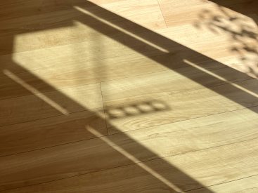 室内に温かく入る日差し。