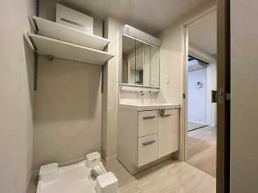 洗面脱衣所。ここは他と比べてコンパクトめ。