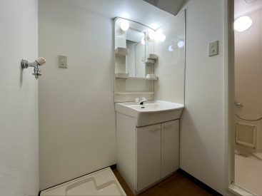 洗面脱衣所。収納は最低限なので工夫を施して。