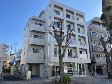 開放的で心地良い通りに建つマンション。