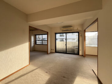 並んだ窓から南西の日差し。