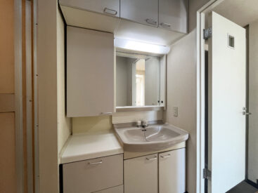 洗面台はこの収納の多さ。