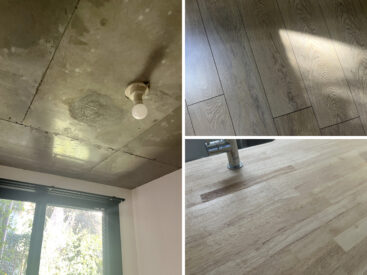 天井のRC打ちっぱなしに木の要素がプラス。