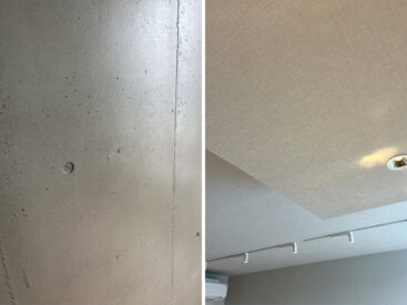 RC打ちっ放しが壁にチラリ。繊維のような素材感のあるクロス。