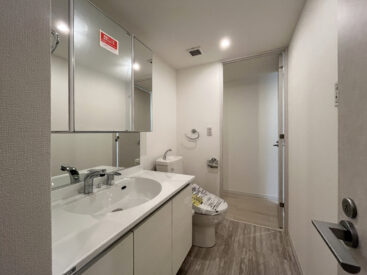 洗面脱衣所。トイレはオープンなものがここに。