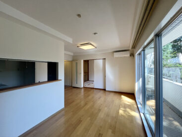 食事の時間からまどろみの時も、木漏れ日が入ります。