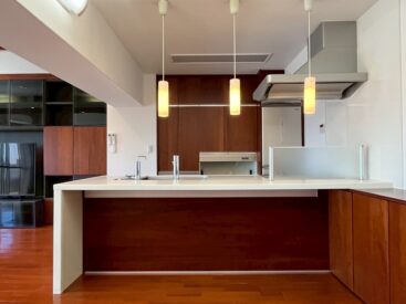 カウンターキッチン仕様です。